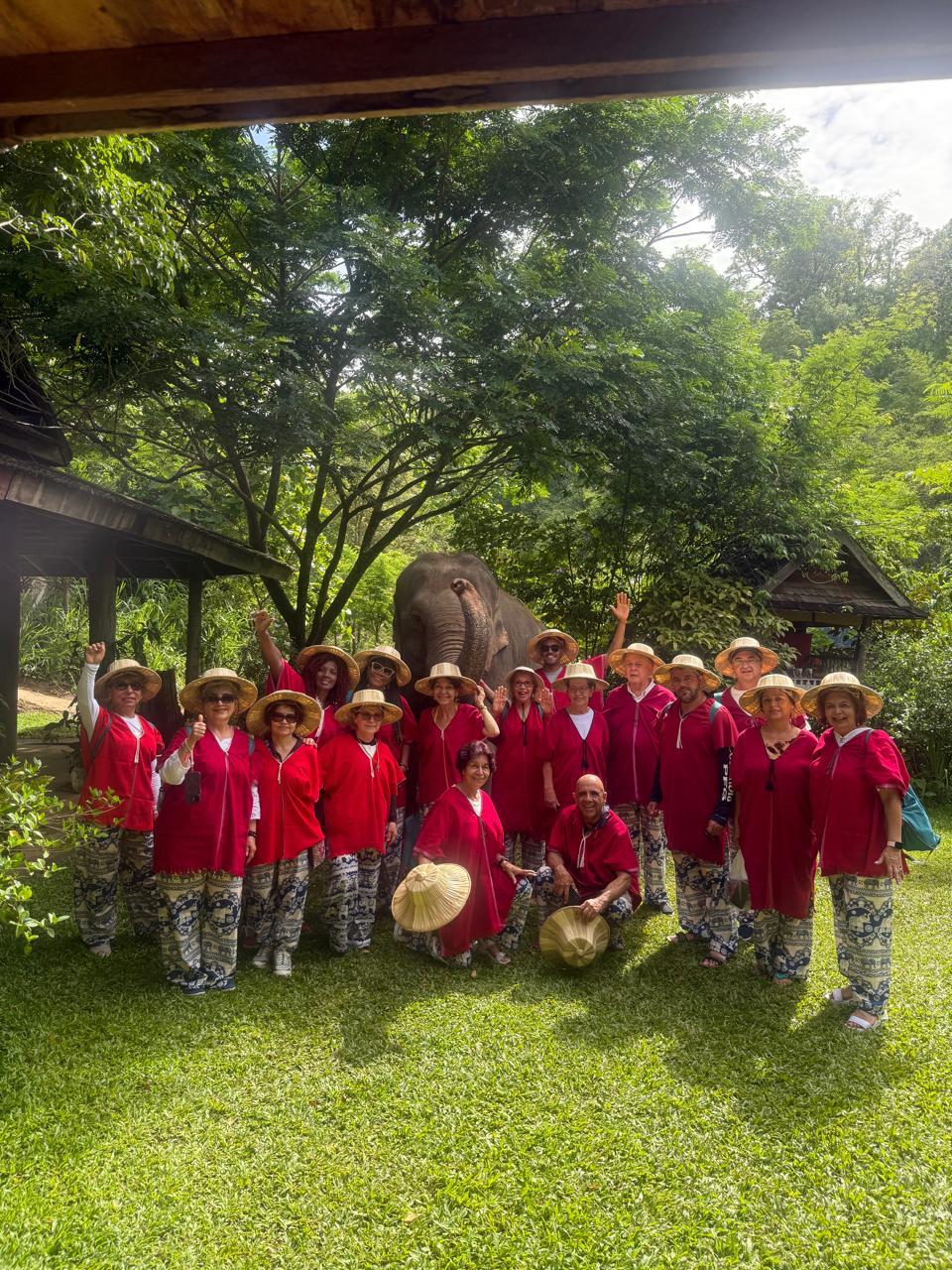 Viajeros con elefantes en santuario de Chiang Mai, Tailandia